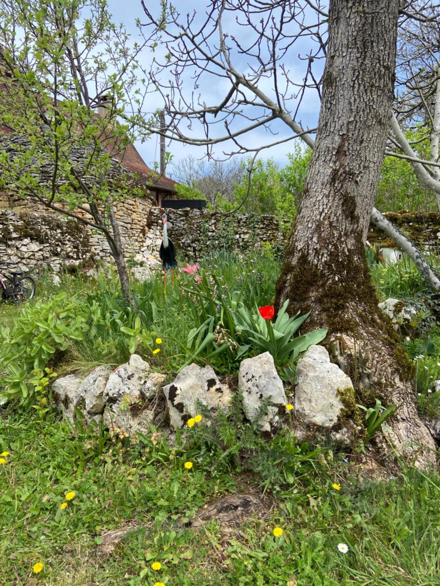 Gites Sur Le Causse De St Chels, Charme Sport Et Detente Saint-Chels ภายนอก รูปภาพ
