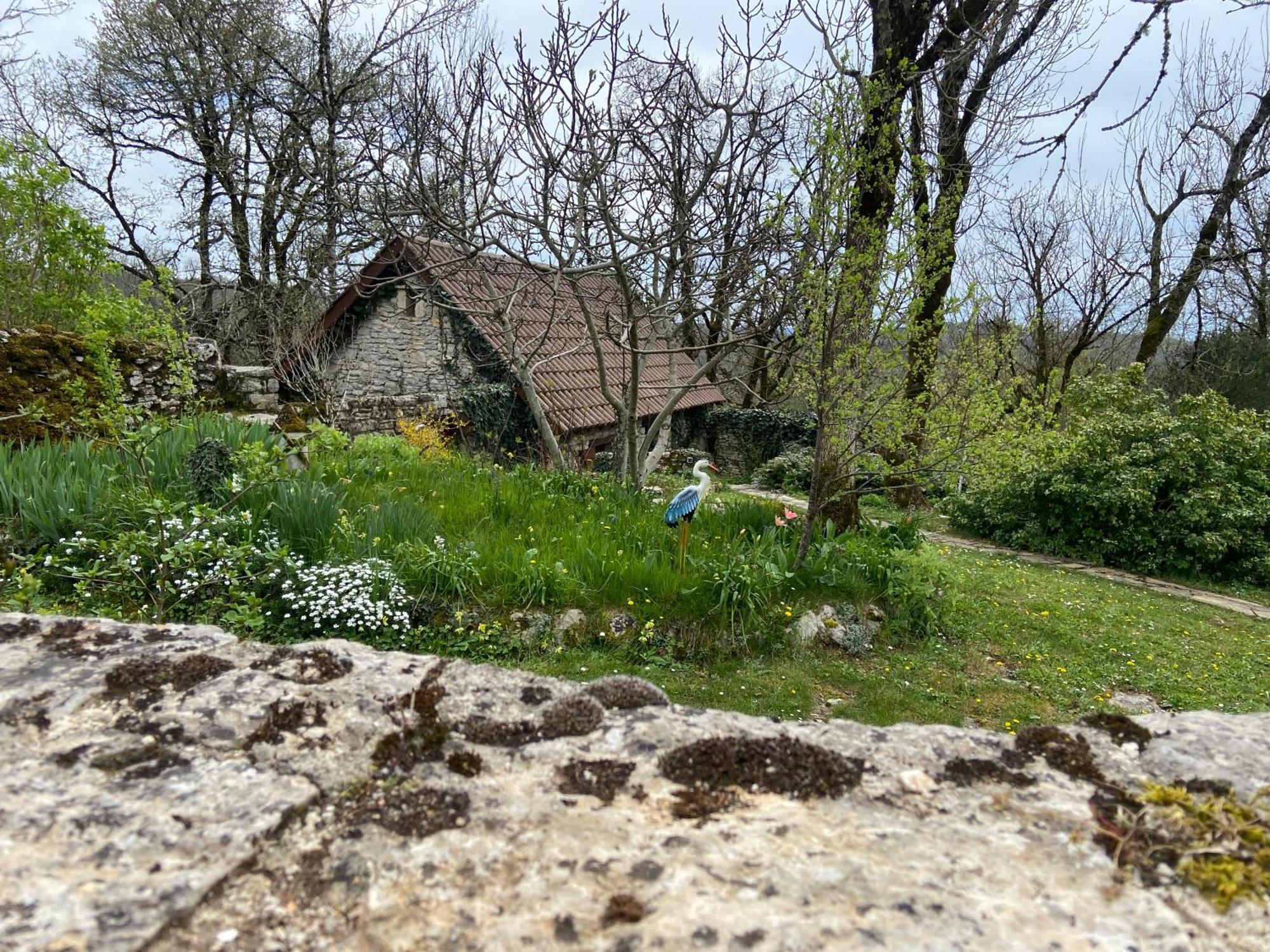 Gites Sur Le Causse De St Chels, Charme Sport Et Detente Saint-Chels ภายนอก รูปภาพ