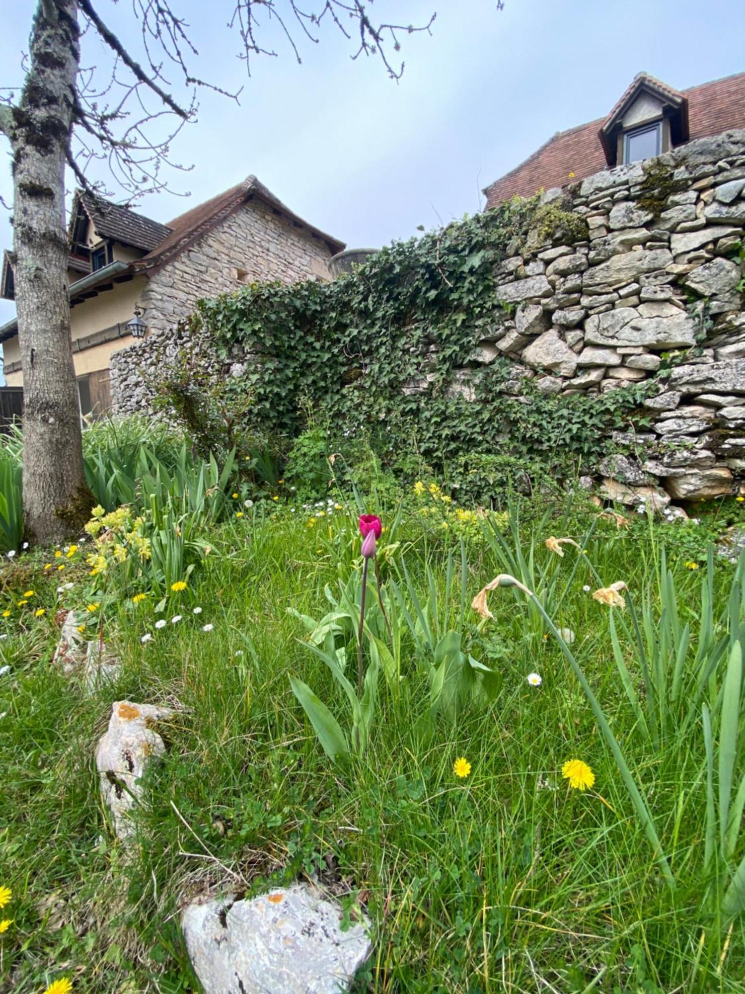 Gites Sur Le Causse De St Chels, Charme Sport Et Detente Saint-Chels ภายนอก รูปภาพ